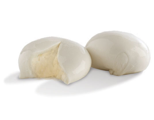 agt_object_7d676191-e5cc-406e-9f33-2c89940223fe_1024x1024